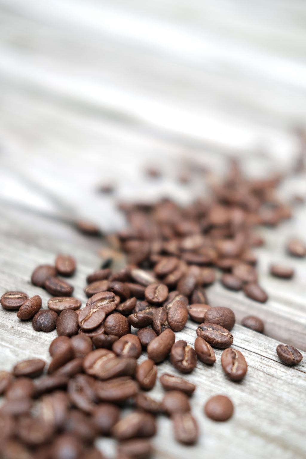 Signature Columbian Medium Roast Whole Bean Coffee (12oz Bag)